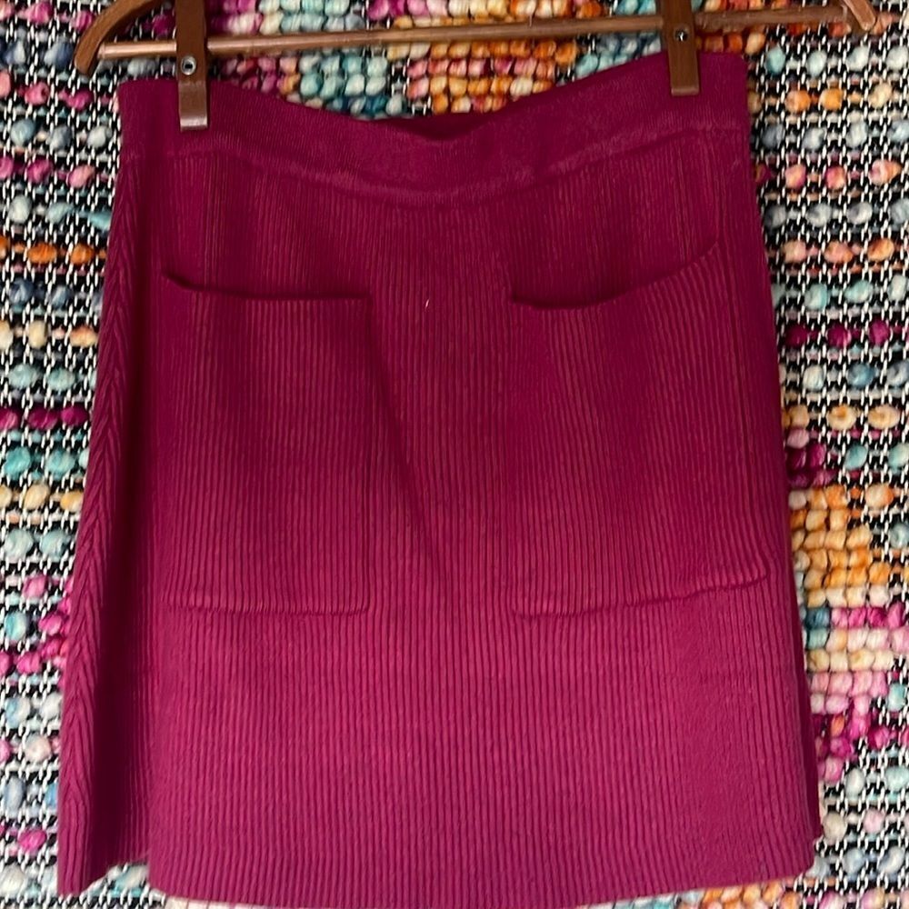 Cute sweater skirt with pockets. NWT Super cute!!